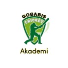 Gobabis Akademi Logo